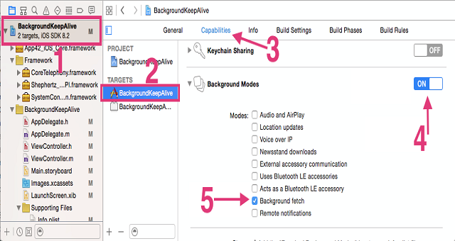 iOSProjectSetUp